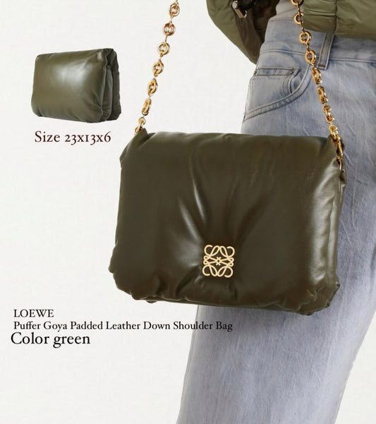 Loewe Goya Women Bag Green